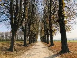 autumn-french-landscape-3