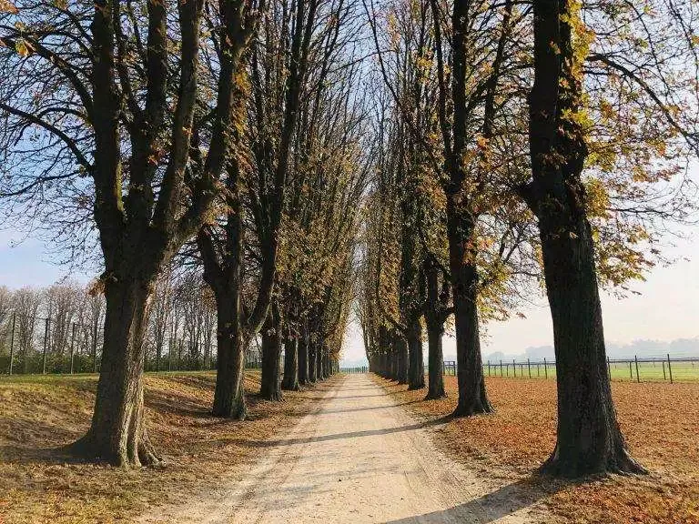 autumn-french-landscape-3