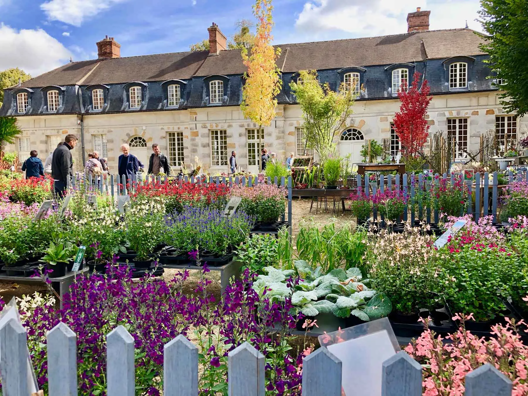 saint-jean-de-beauregard-fete-plant-show