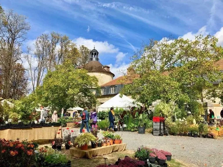 fête des plantes de saint-jean-de-beauregard automne