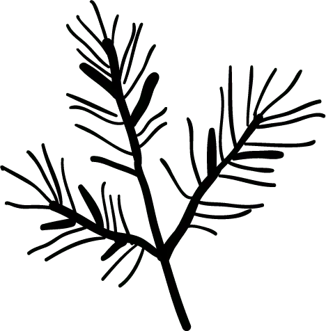 table hivernale table de noel