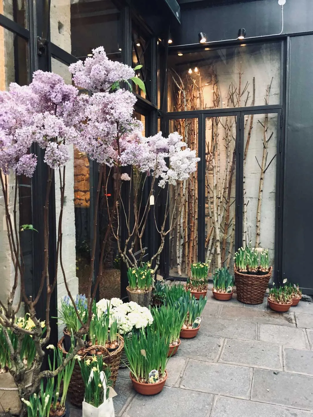 Stephane chapelle Parisian florist