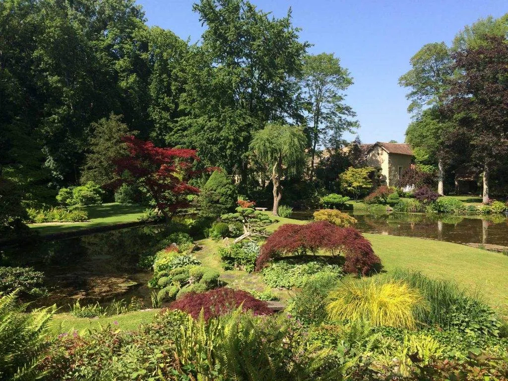courances-castle-japanese-garden