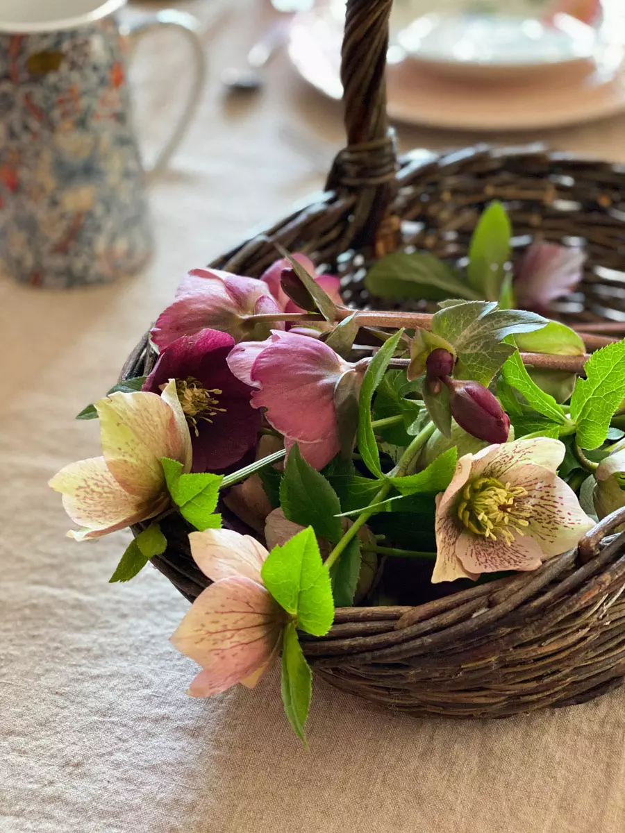 a-charming-spring-table-hellebores