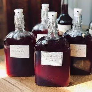 liqueur-mures-recette-blackberry-liquor-recipe
