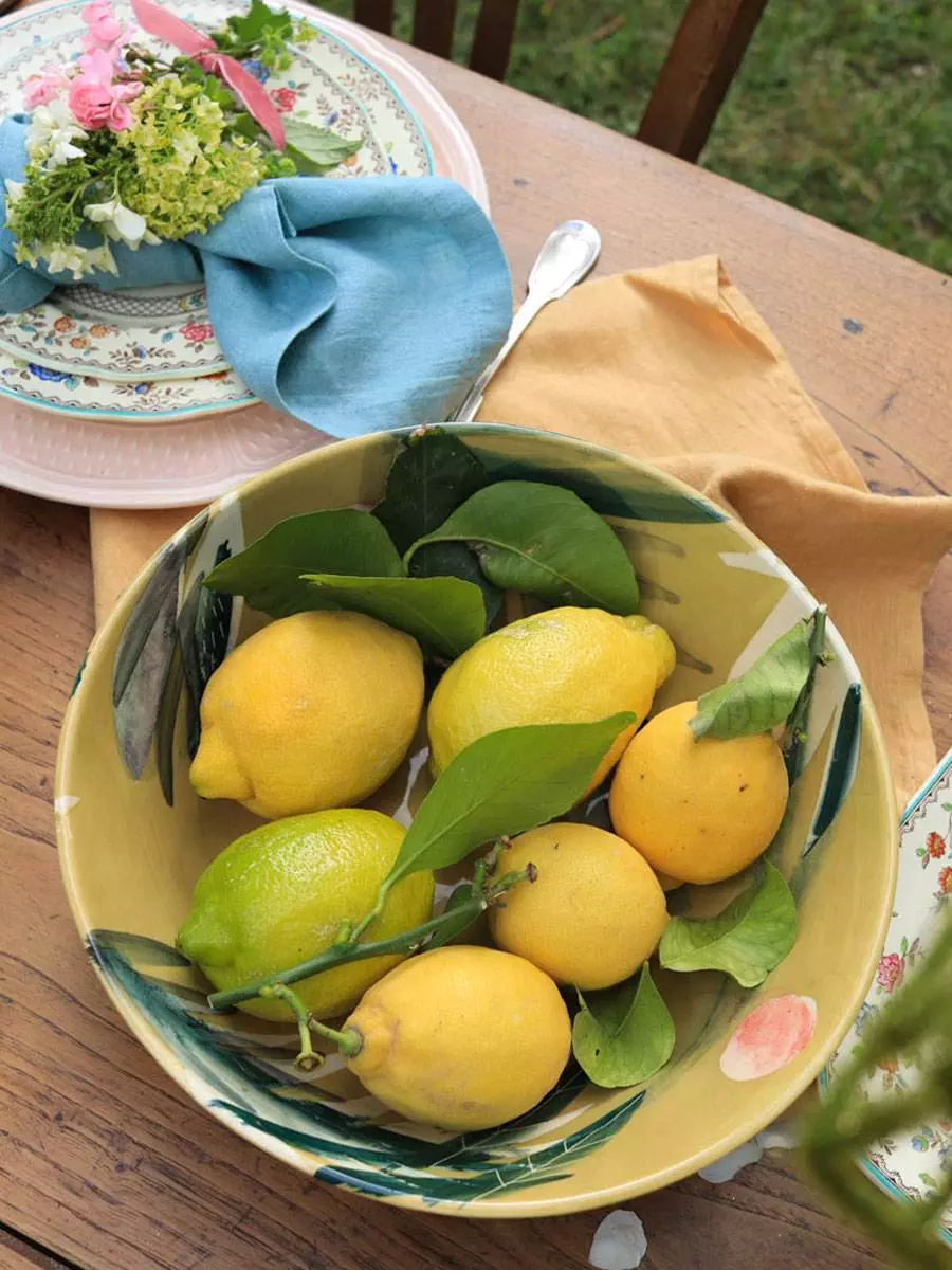 table-champetre-cage-oiseaux-campagne-citrons-lemons