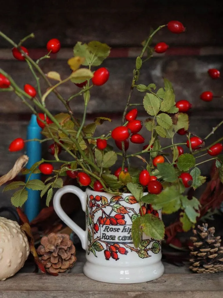 décoration-automne-cosy-fall-decor-rosehip-09