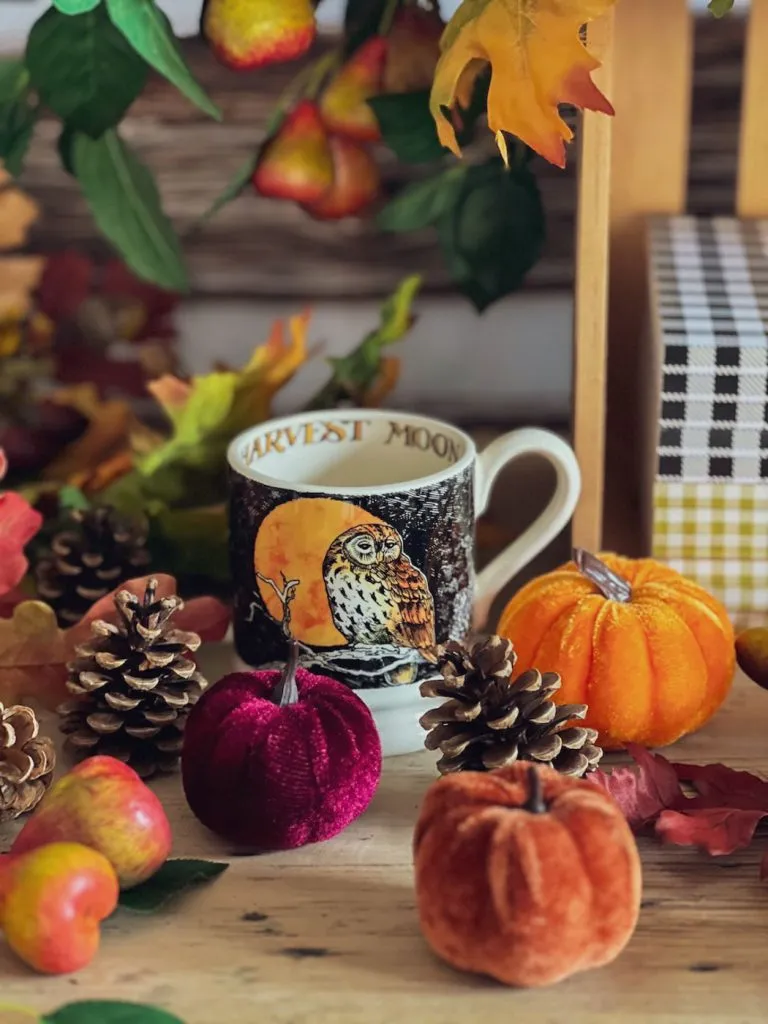 décoration automne cosy tasse autumn fall decor mug-3