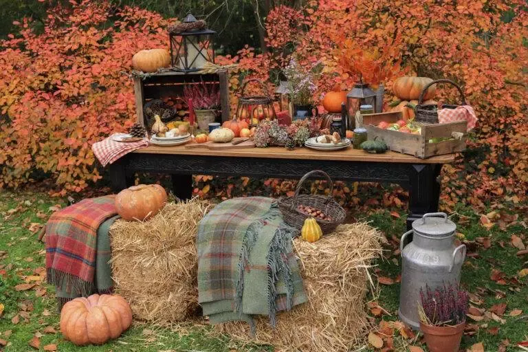 table de ferme automnale autumn French table setting