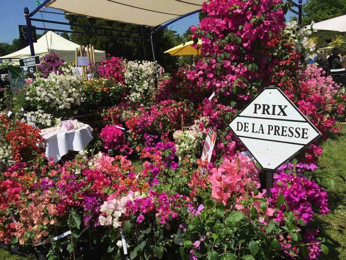 fête des plantes au domaine de courson