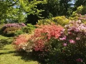 fête plantes domaine courson plant show france