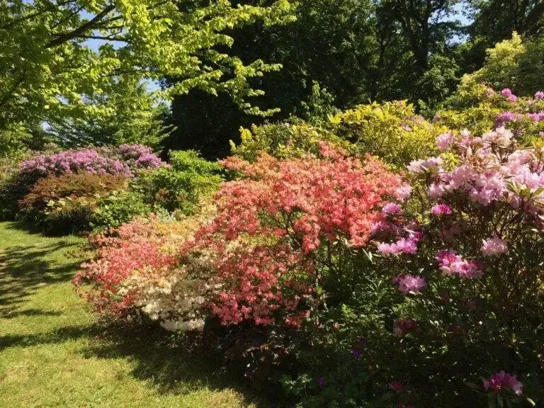 fête plantes domaine courson plant show france