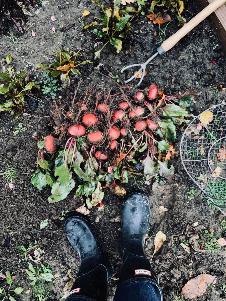 preparer le potager au printemps une bonne maison-10
