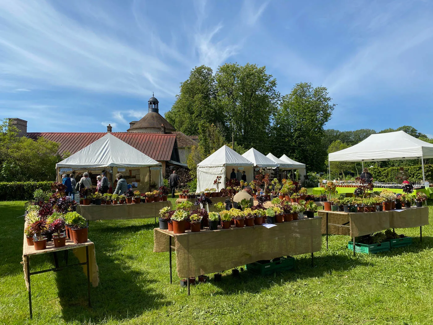 fete des plantes de saint jean de beauregard printemps 2021