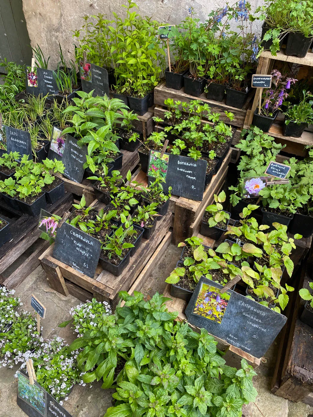 fete des plantes saint jean de beauregard printemps 2021 stand