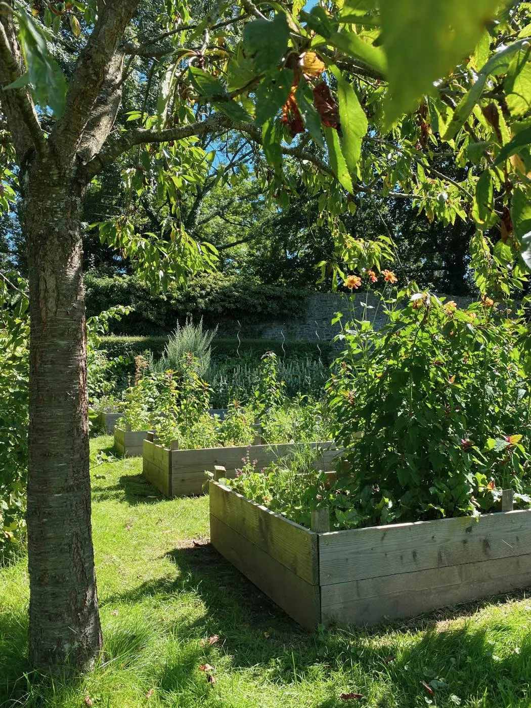 jardin des ifs gerberoy-18