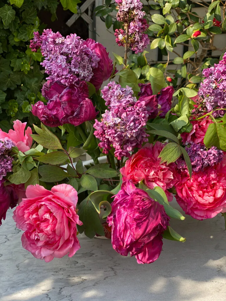 bouquet lilas tulipes pivoines-5