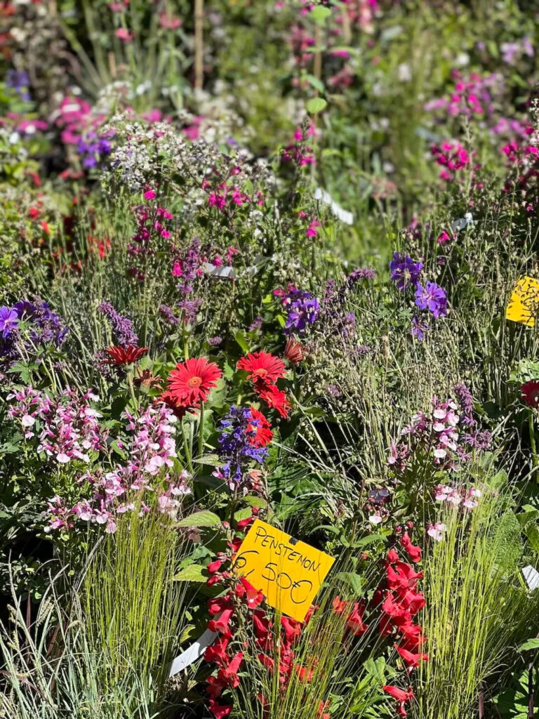 journee des plantes chantilly flower show-08