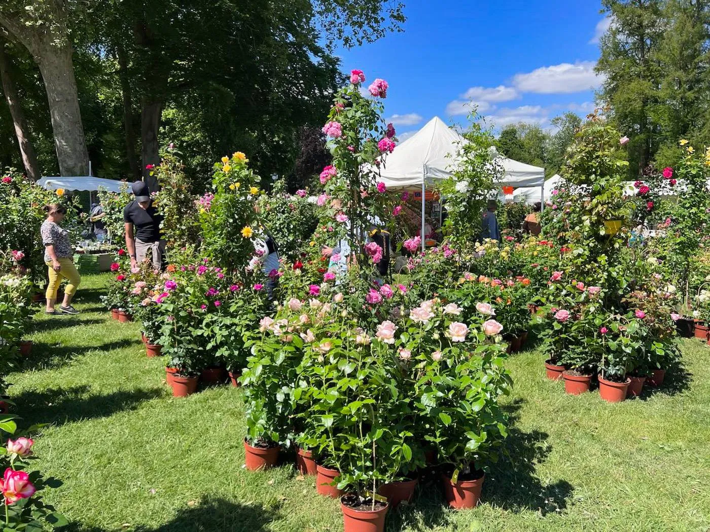 journee des plantes chantilly flower show-15