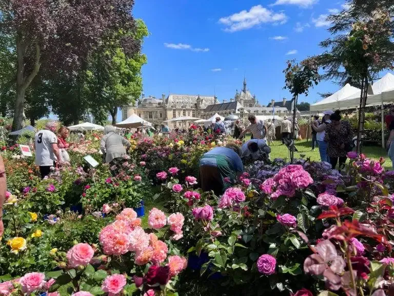 journee des plantes chantilly flower show-27