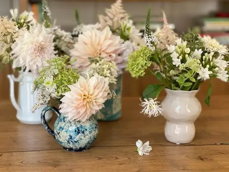 Dahlias petits bouquets tons blancs-13