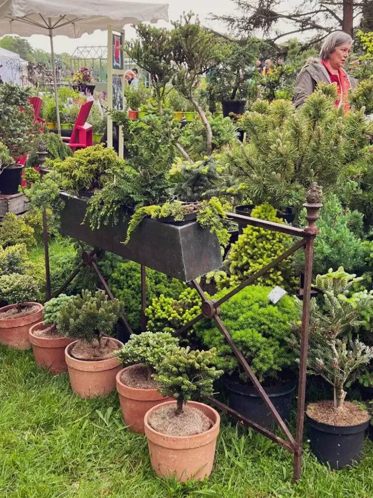 Journée des plantes Chantilly mai 2023-02