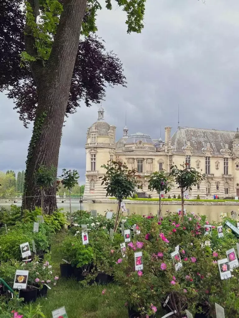 Journée des plantes Chantilly mai 2023-11