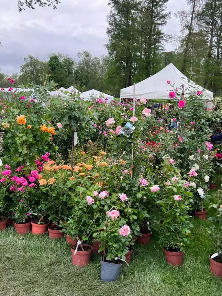 Journée des plantes Chantilly mai 2023-26