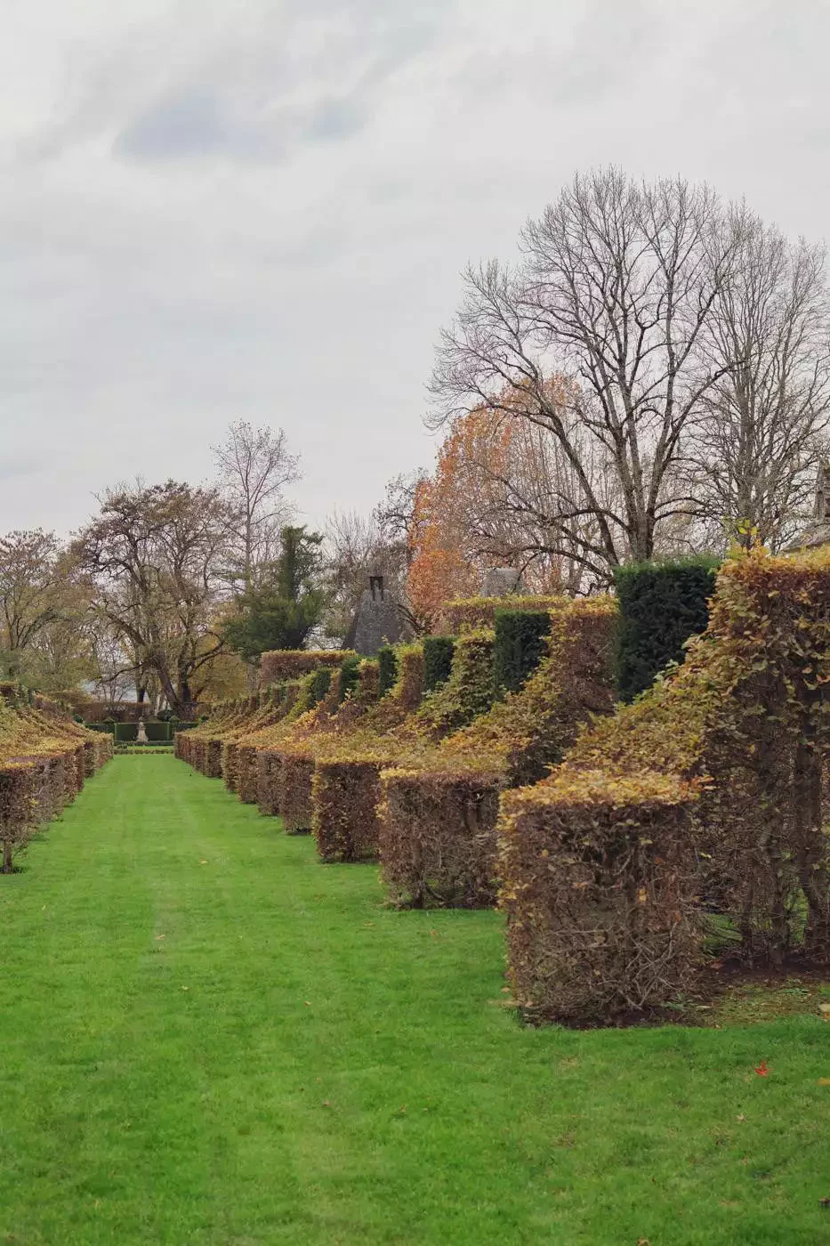 jardins eyrignac automne-31
