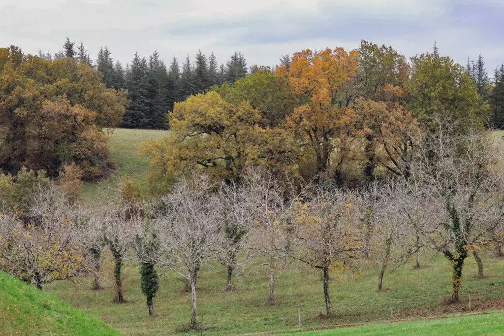jardins eyrignac automne-35