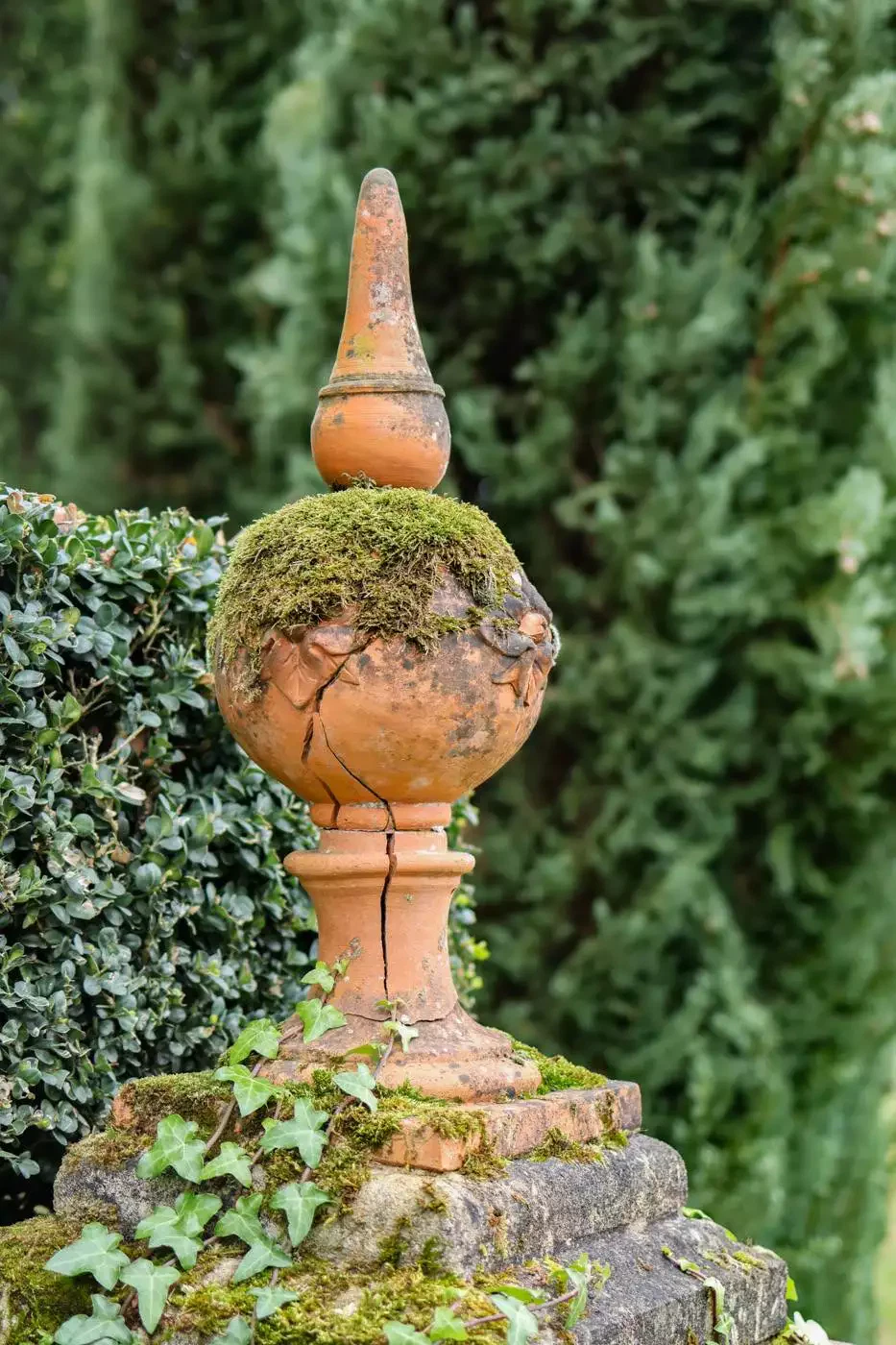 jardins eyrignac automne-75