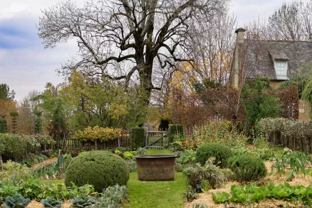 jardins eyrignac automne-76