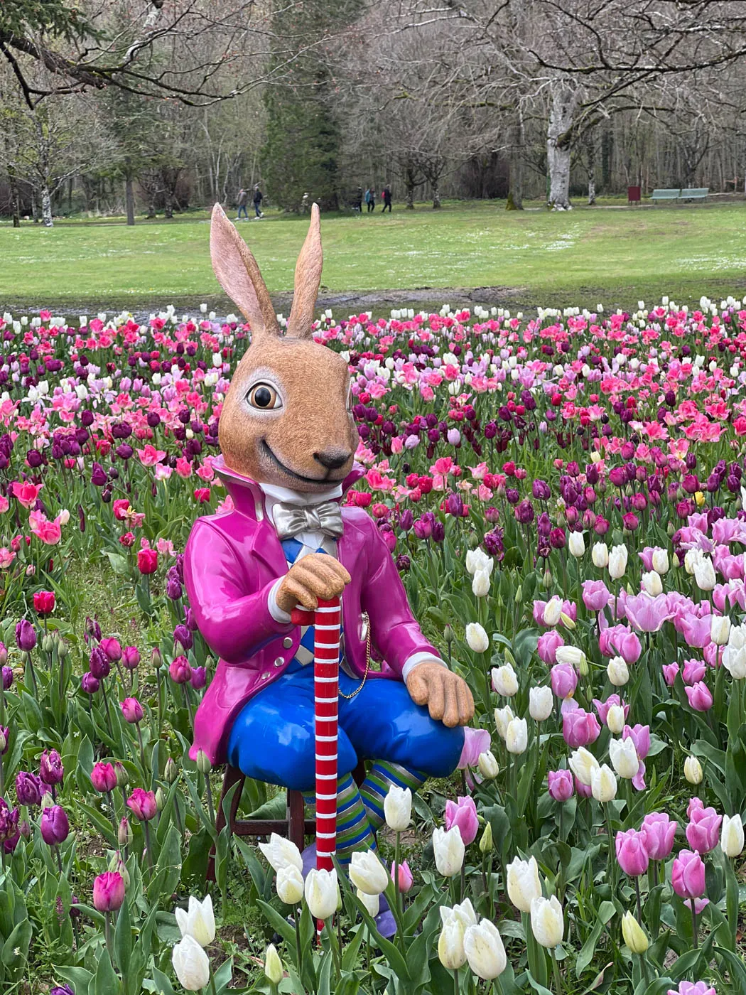 Chateau de Cheverny Pâques ruban de tulipes