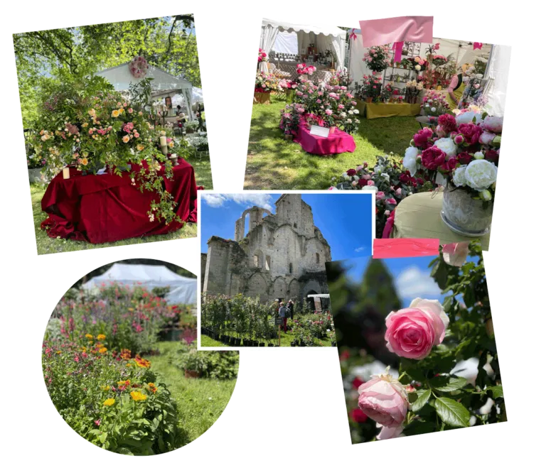 Journée de la Rose Chaalis