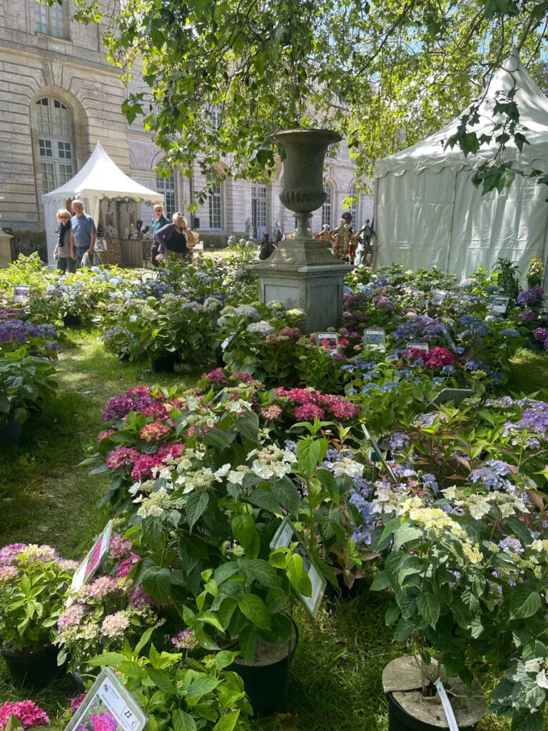 journée de la rose Chaalis French country fair