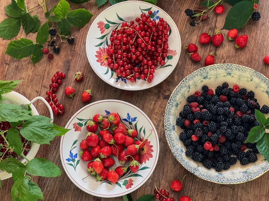 fin de l'été - end of summer