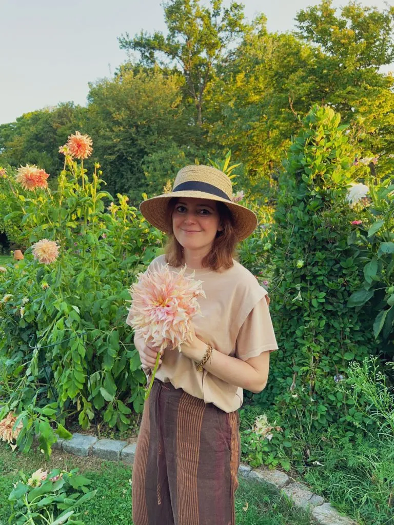 jardin dahlias French garden