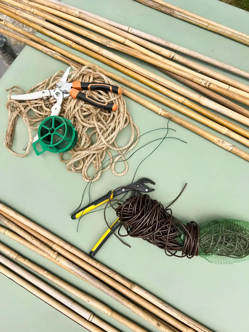 Construire un tipi plante Cobée grimpante-06