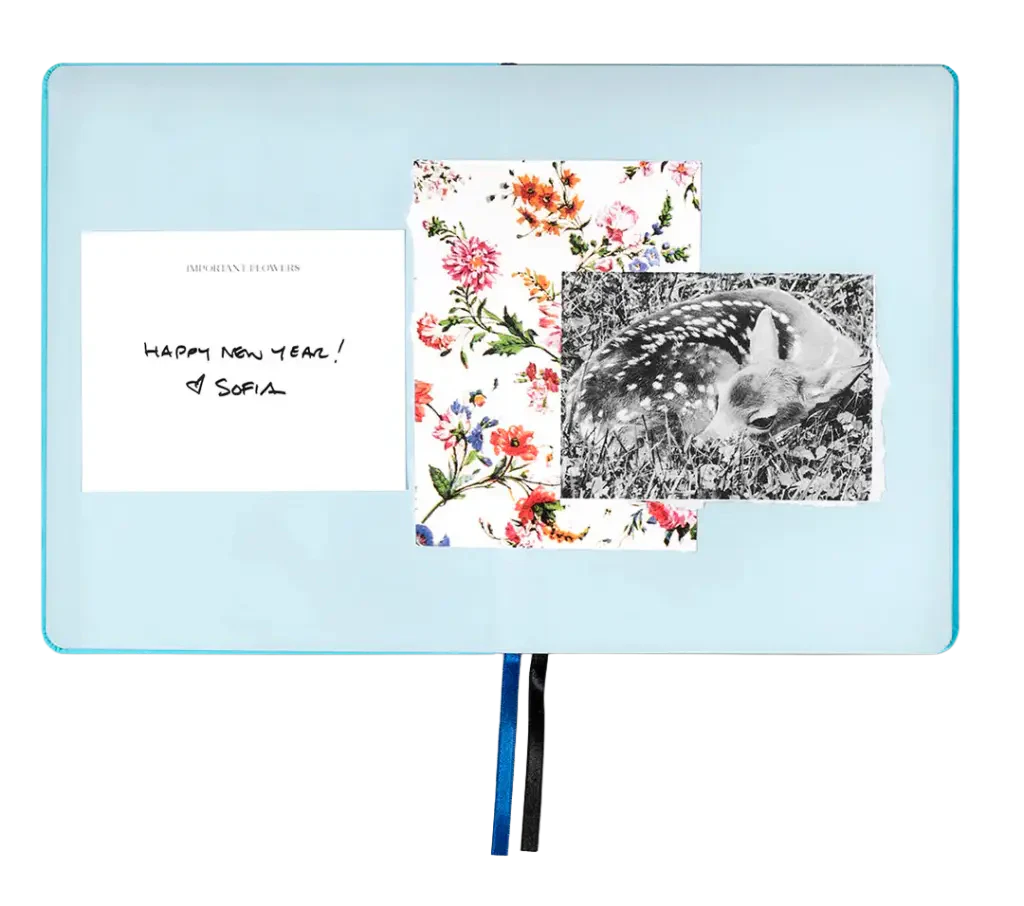 agenda sofia coppola 2026 - 2