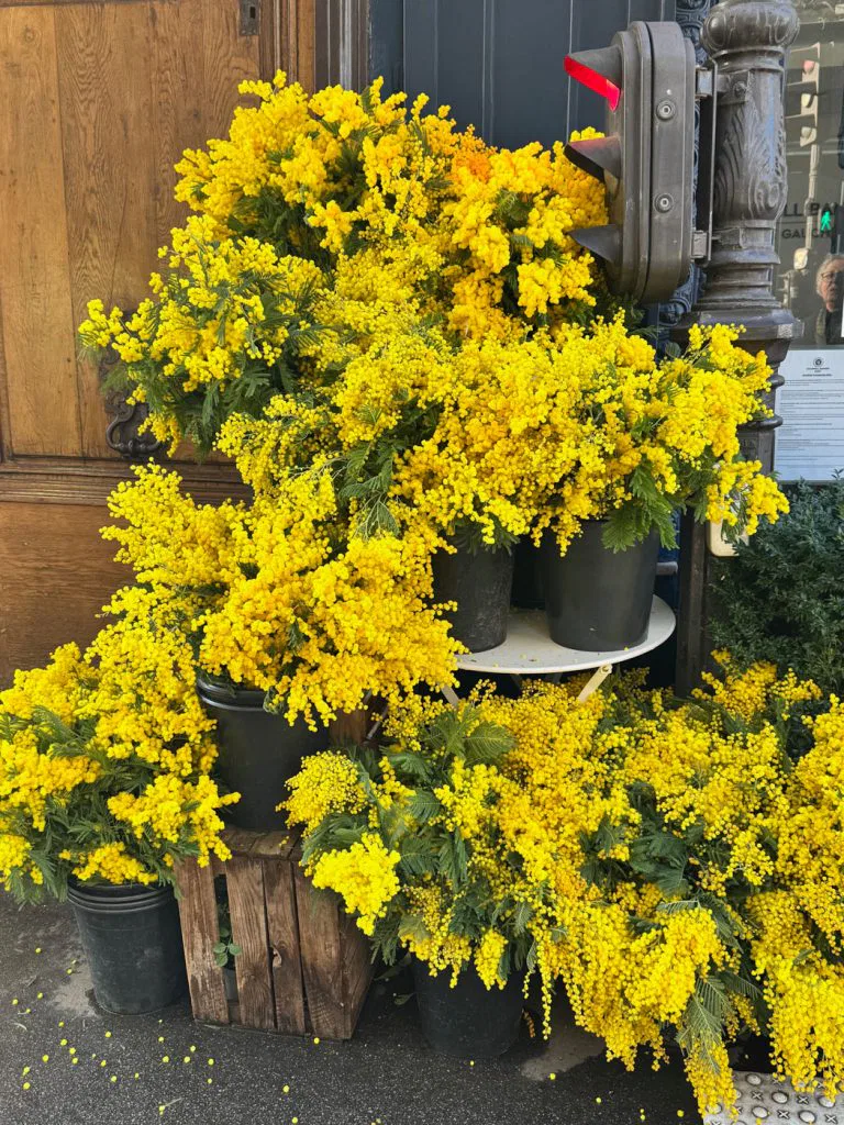 une bonne maison parisian country life-52