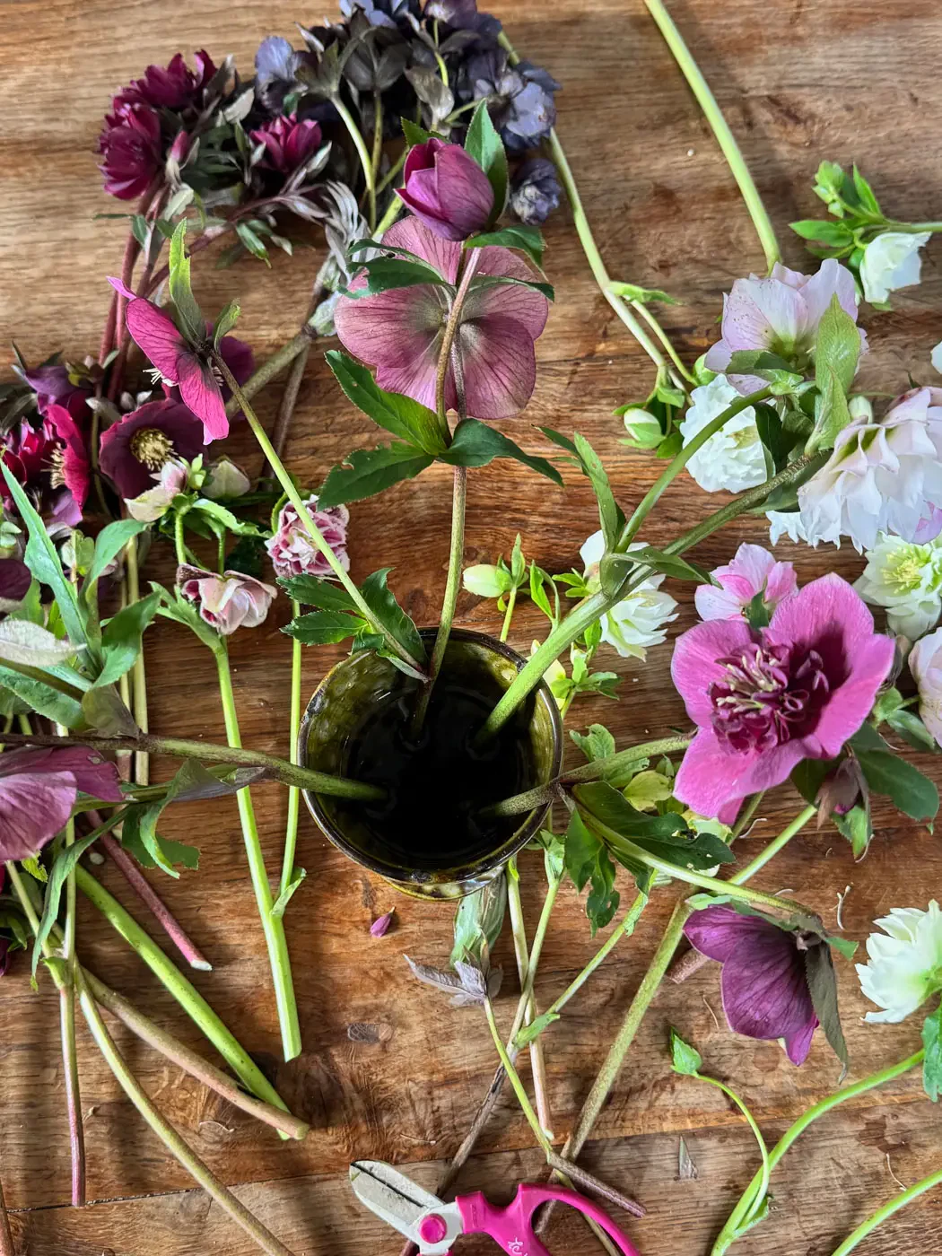 beau bouquet hellebores flowers-12