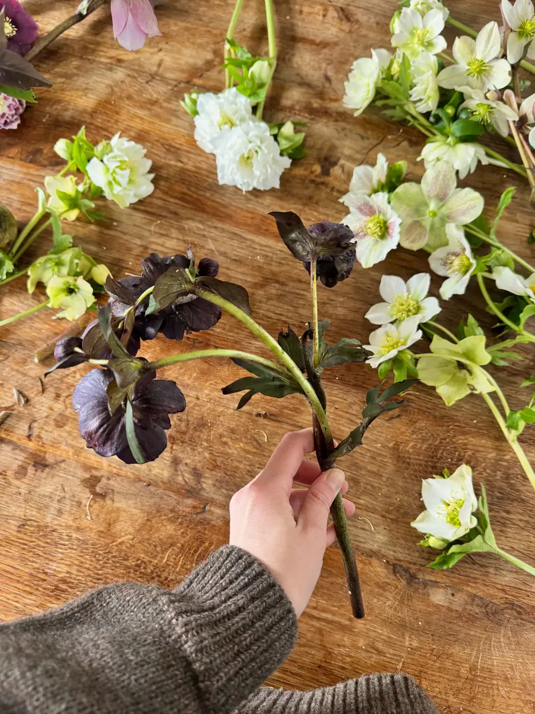 beau bouquet hellebores flowers-14