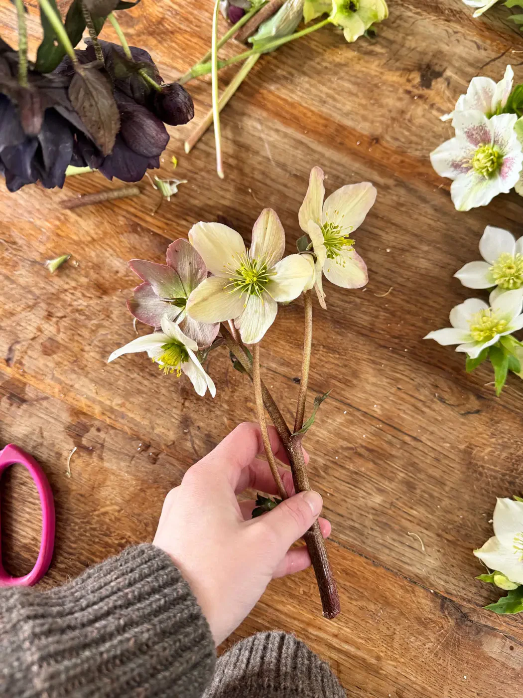 beau bouquet hellebores flowers-15